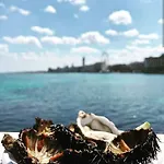Stella Del Sud - Bed and breakfast 3*
